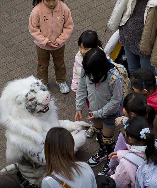 laqua tiger and kids